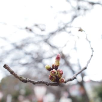 頃合い設定難