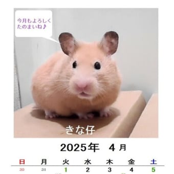 ４月のカレンダー ２種類アップしま~す