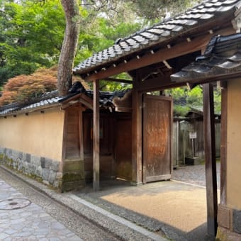 大はしゃぎ