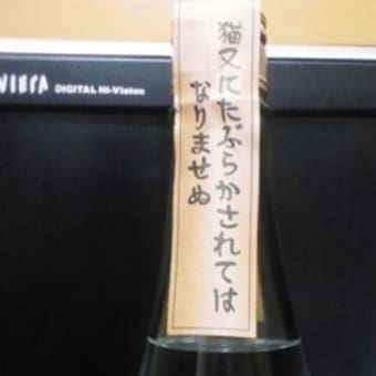 猫また焼酎 古酒