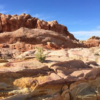 Valley of Fire State Park & Mesquite ,NV