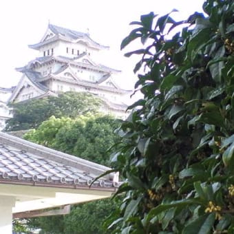 金木犀の香り