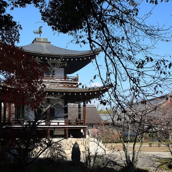 勧修寺、真言宗門跡寺院です。