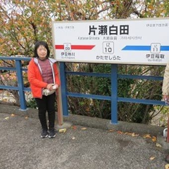 まるごと伊豆絶景セレクション　3日間