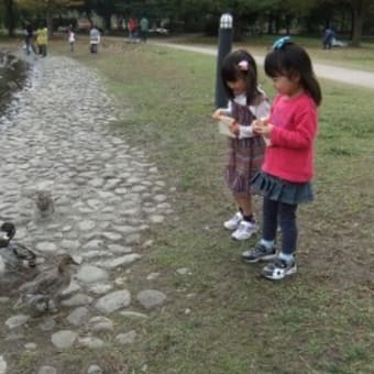 近頃は