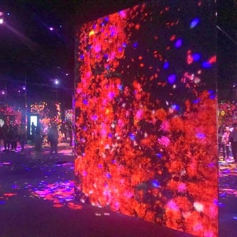TeamLab〜Part1〜(2019年12月)