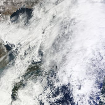 2012年1月