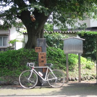 東海道・由比宿から小田原宿へ！