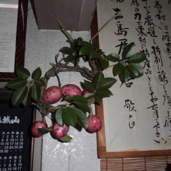 ムベのリース
