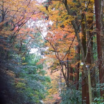 清水山、城平山（阿宮富士）、大平山～子三瓶山😃