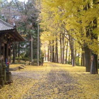 泉福寺(1)  Sempuku-ji (1)