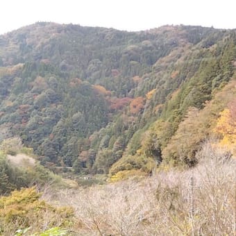 駒師のバイク旅　～その６～