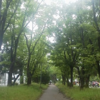 妻再転院
