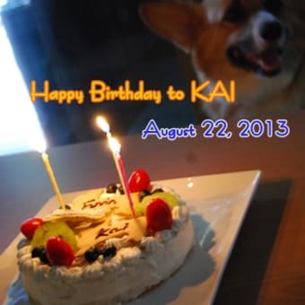 Happy Birthday KAI! 6th