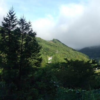令和7年6月27日・今朝の東祖谷19℃（16.4℃）