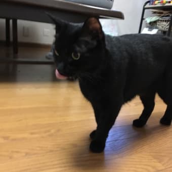 長いお出かけ