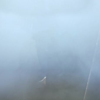 地震体験でグッラグッラ