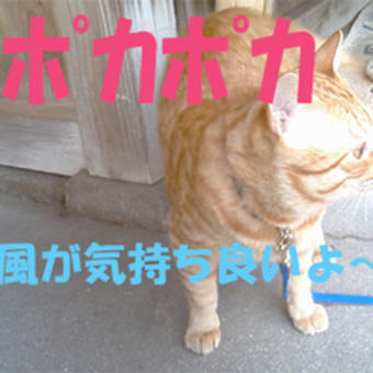 “ｏ(*￣o￣)ｏ”ウキウキ♪