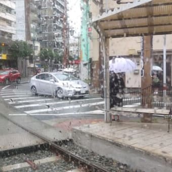 No.2508 雨の中を