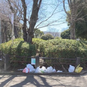 このごみ集積場所、きれいに見えますか。公園にごみが不法投棄された感じですね