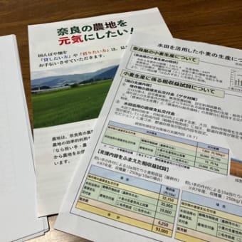 なかなか晴れませぬ