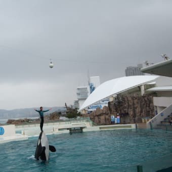 鴨川シーワールドで感動する