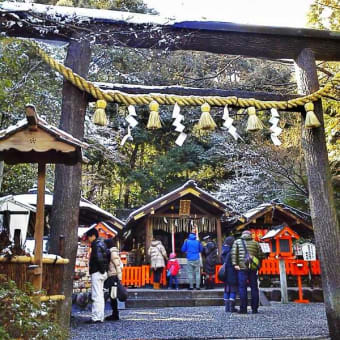竹林の雪化粧　嵐山・野宮神社