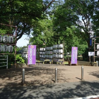 水元公園、はなしょうぶ園