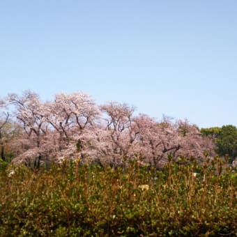 なんだか一気に来た気がする！