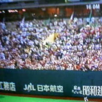 １勝１敗で、上出来です♪(≧∇≦)ノ