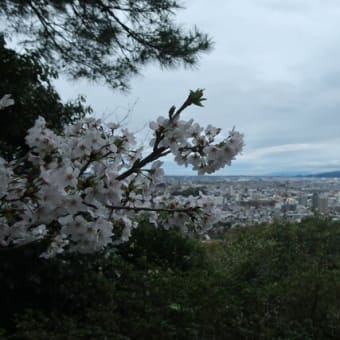大吉山展望台