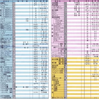 検査結果は、全然、正常値