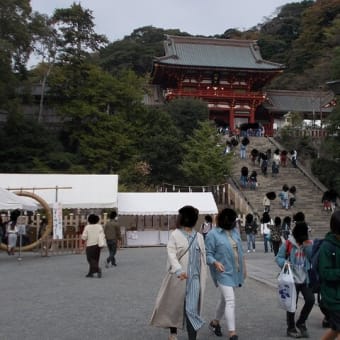 小春日和の鎌倉；源氏山公園・鶴ヶ岡八幡宮・北鎌倉・鎌倉中央公園周遊（後編）