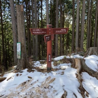 古里駅から御岳山、日の出山へ