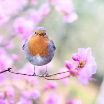 「頼ること」と「わがまま」は違う・・