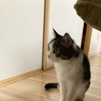 にゃごや市消防局から