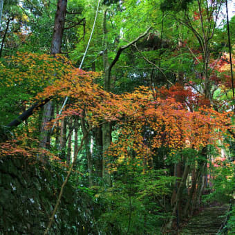 石馬寺（滋賀県）（2011年12月06日　火　晴　EOS5D EF24-105mmF4LIS）