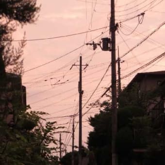 夕映えに梅雨入り間じかを感じる
