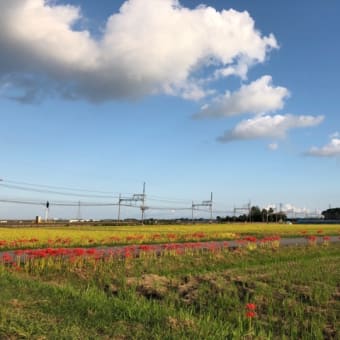 写真家日記【鉄分補給プラス】