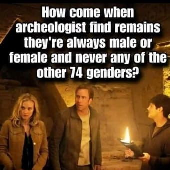 2 Genders. No Pronouns Like Hir, Zer, Zap, Zay Or Zippity Doodad. ๐คจ๐คช๐๐๐๐๐๐บ๐ปโง