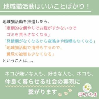税金で小さな命を奪わない国へ