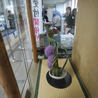 市役所挿花６月１２日