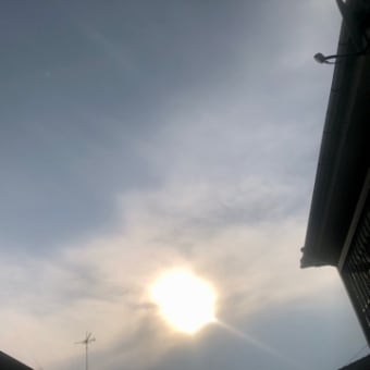 とらぷぅ💥情報＋天気7/2 とらねた神の敵⁉️💦