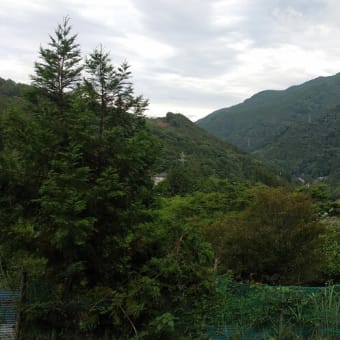 令和7年6月16日・今朝の東祖谷21℃（21.2℃）