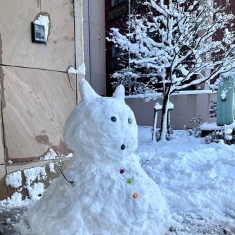 積雪しました⛄️