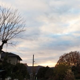来年の目標は継続からの達成、そして身に付ける。