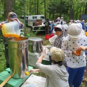 小海町の新津養蜂場訪問