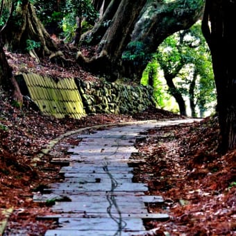 縣神社（千葉県大網白里町）