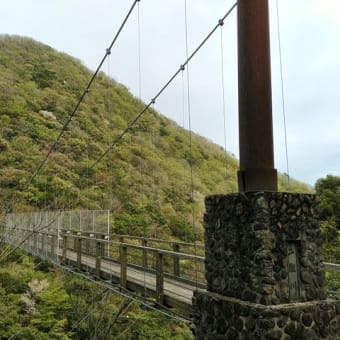2025-06-02 Photo