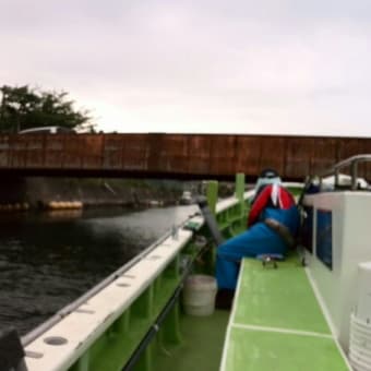 シーズン後半？東京湾マルイカ